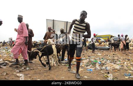 I venditori arrivano con arieti e capre in vendita per il festival di Eid al-Adha al mercato di Kara Isheri nello Stato di Ogun, nella Nigeria sud-occidentale, in vista del festival musulmano di Eid al-Ada il 29 luglio 2020. Presidente della Nigeria, Muhammadu Buhari mercoledì ha imposto rigide restrizioni di movimento in tutto il paese per fermare la diffusione della malattia di coronavirus COVID-19, yearâ osservare le preghiere di Eid-el-Kabir di questo con i suoi familiari all'interno della Villa Presidenziale, Abuja. Prima della pandemia COVID-19, Buhari di solito si unisce ai musulmani per le preghiere di Eid in qualsiasi luogo di preghiera in Abuja ogni volta Foto Stock