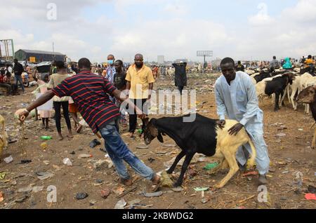 I venditori arrivano con arieti e capre in vendita per il festival di Eid al-Adha al mercato di Kara Isheri nello Stato di Ogun, nella Nigeria sud-occidentale, in vista del festival musulmano di Eid al-Ada il 29 luglio 2020. Presidente della Nigeria, Muhammadu Buhari mercoledì ha imposto rigide restrizioni di movimento in tutto il paese per fermare la diffusione della malattia di coronavirus COVID-19, yearâ osservare le preghiere di Eid-el-Kabir di questo con i suoi familiari all'interno della Villa Presidenziale, Abuja. Prima della pandemia COVID-19, Buhari di solito si unisce ai musulmani per le preghiere di Eid in qualsiasi luogo di preghiera in Abuja ogni volta Foto Stock