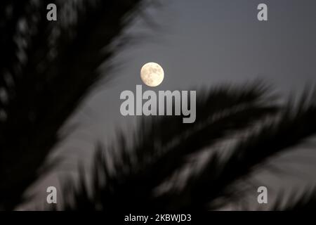 La luna sopra la città di Deir al-Balah nella striscia centrale di Gaza, il 01 agosto 2020. Il secondo giorno di Eid al-Adha, la festa più importante dell'Islam, segna la volontà del profeta Ibrahim di sacrificare suo figlio. Tra le preoccupazioni circa la diffusione della malattia di coronavirus (COVID-19) nella striscia di Gaza (Foto di Sameh Rahmi/NurPhoto) Foto Stock