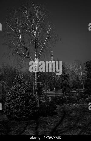 A vertical grayscale shot of a church in the middle of the park Stock Photo