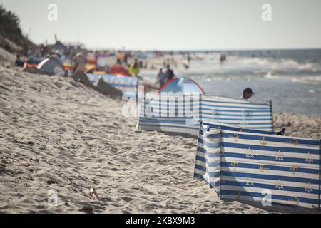 Windbreaker visto a Bialogora, Polonia il 18 agosto 2020. (Foto di Maciej Luczniewski/NurPhoto) Foto Stock