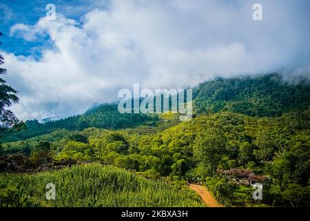 Paesaggio di montagne con foresta tropicale verde e strada al centro, alba nella giungla, con nuvole Foto Stock