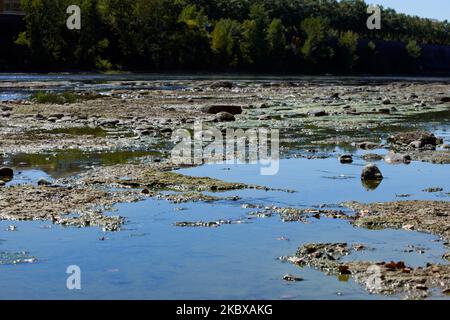 Il fiume Garonna è vicino ai suoi livelli bassi record a causa di una mancanza di pioggia dall'inizio del 2020 e di un calore bruciante durante diversi periodi di picco di calore. Di conseguenza, il fiume Garonna è eutrofeo. A causa del basso livello dell'acqua, sul letto del fiume appaiono rifiuti. Il servizio meteorologico nazionale (Meteofrance) ha annunciato che il mese di luglio è stato il mese più secco in Francia dal 1959 e che il primo semestre del 2020 è stato il più caldo da quando i record sono iniziati. Il 18th 2020 agosto a Tolosa, Francia. (Foto di Alain Pitton/NurPhoto) Foto Stock