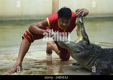 Un artista che ha messo la testa tra le zampate di un coccodrillo durante uno spettacolo alla Samutprakarn Crocodile Farm and Zoo, Provincia di Samut Prakan, Thailandia il 22 agosto 2020. L'azienda agricola e lo zoo sono la più grande fattoria di coccodrilli del mondo, con oltre 40.000 coccodrilli marini e d'acqua dolce, e offre spettacoli come il wrestling di coccodrilli per attirare i turisti, di ritorno aperto in mezzo allo scoppio del coronavirus. (Foto di Anusak Laowilas/NurPhoto) Foto Stock