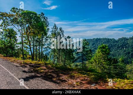 Paesaggio di montagne con foresta tropicale verde e strada al centro, alba nella giungla, con nuvole Foto Stock