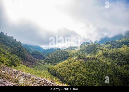Paesaggio di montagne con foresta tropicale verde e strada al centro, alba nella giungla, con nuvole Foto Stock