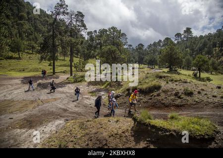 I parenti delle persone scomparse hanno svolto la prima squadra di ricerca a Città del Messico, il 18 agosto 2020. Il gruppo camminò attraverso la valle di Tezontle ad Ajusco dove trovarono il cranio e la mascella di una persona ancora non identificata, così che proteggessero l'area. In Messico ci sono 73.218 persone non localizzate. (Foto di Jair Cabrera/NurPhoto) Foto Stock