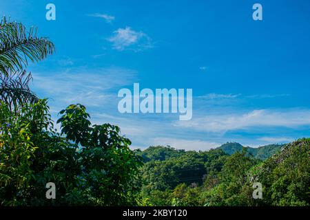 Paesaggio di montagne con foresta tropicale verde e strada al centro, alba nella giungla, con nuvole Foto Stock