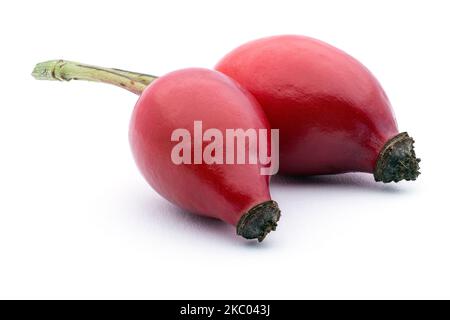 Bacche di rosa canina isolate su fondo bianco Foto Stock