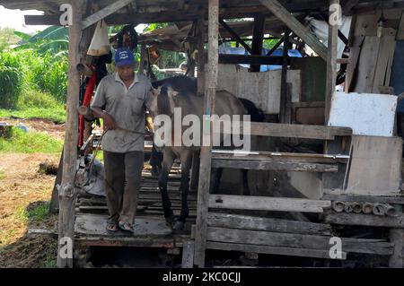 Un carro Coaches esegue la manutenzione del carrello e la pulizia dei cavalli in un villaggio con circa 30 carrelli a Rawa Badung, cakung, Jakarta il 21,2020 settembre. L'impatto della pandemia non è avvertito solo da una serie di settori. Anche le carrozze del carro erano interessate dalla chiusura dell'area ricreativa e le carrozze del carro persero i loro mezzi di sussistenza, e si basavano solo sui passeggeri dei villaggi dove c'erano molti bambini nel vicolo. Se di solito guadagnano centinaia di migliaia di reddito al giorno, ora è difficile ottenere 50 mila Rupiah. Dasril Roszandi (Foto di Dasril Roszandi/NurPhoto) Foto Stock