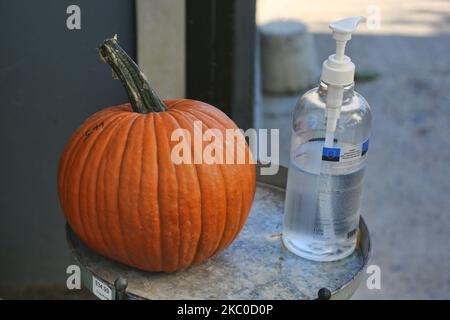 Bottiglia di disinfettante per le mani accanto a una zucca in serra durante la pandemia del nuovo coronavirus (COVID-19) a Milton, Ontario, Canada il 20 settembre 2020. I casi hanno continuato ad aumentare in Ontario come funzionari sanitari provinciali ha registrato oggi 478 nuovi casi del virus, fino a 425 segnalati un giorno fa. Questo è il terzo giorno in cui sono stati registrati più di 400 nuovi casi mentre nuove infezioni continuano ad aumentare a Toronto, Peel e Ottawa. (Foto di Creative Touch Imaging Ltd./NurPhoto) Foto Stock