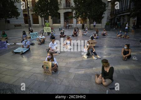 I manifestanti sono visti durante una concentrazione nel pacifico in Plaza del Carmen il 25 settembre 2020 a Granada, Spagna. In seguito alla richiesta di Greta Thunberg di uno sciopero scolastico mondiale e di "venerdì per il futuro”, studenti e studenti delle scuole sono scesi in strada per denunciare l'inazione dei governi verso la crisi climatica. Denunciano inoltre la mancanza di azione contro la crisi ambientale. Sono state programmate dimostrazioni in più di 3.100 località in tutto il mondo. (Foto di Fermin Rodriguez/NurPhoto) Foto Stock