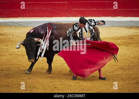 Il bullfighter spagnolo Enrique Ponce esegue un pass con 'capote' su un toro durante il Virgen de las Angustias Bullfighting Festival presso l'arena Monumental de Frascuelo il 26 settembre 2020 a Granada, Spagna. (Foto di Fermin Rodriguez/NurPhoto) Foto Stock