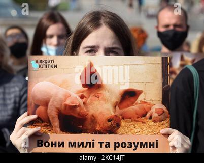 Un sostenitore dei diritti degli animali tiene un cartello con la scritta "sono carini e intelligenti", durante un rally dedicato alla Giornata Mondiale degli Animali in Piazza dell'Indipendenza a Kyiv, Ucraina, il 04 ottobre 2020. Gli attivisti ucraini si sono riuniti per il rally per i diritti degli animali chiedendo il divieto di allevamenti di pellicce e la caccia in Ucraina, la sperimentazione animale, proibire l'uso di animali nei circhi, nei dolfinari, nell'elemosina e nei servizi fotografici con gli animali. Il raduno mira a divulgare i valori umanistici e a proteggere gli animali dalla crudeltà. Giornata mondiale degli animali celebrata annualmente il 04 ottobre. (Foto di Str/NurPhoto) Foto Stock