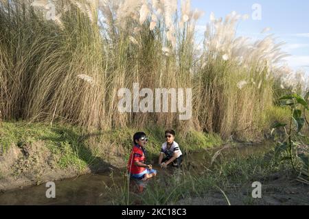 La gente sta visitando il campo di erba catkin in mezzo alla pandemia COVID-19 in Aftab Nagar, alla periferia della Dhaka, Bangladesh il 05 ottobre 2020. Dopo il blocco durante la pandemia, le persone di Dhaka tornano alla vita normale e Aftab Nagar è una delle destinazioni popolari e attraenti, dove molte persone vanno con le loro famiglie e amici per rinfrescarsi. (Foto di Kazi Salahuddin Razu/NurPhoto) Foto Stock