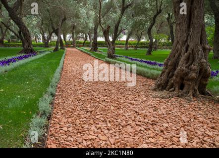 Una vista dall'interno dei giardini e del tempio di Bahai sulle pendici del Monte Carmelo, la città di Haifa, Israele Foto Stock