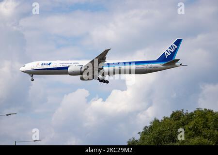 Tutti gli aeromobili Nippon Airways Boeing 777-300ER visti in avvicinamento finale con carrello di atterraggio esteso, in volo e pronti per l'atterraggio all'aeroporto internazionale EGLL di Londra Heathrow in Inghilterra, Regno Unito. Il velivolo a lunga percorrenza con cassone largo vola dal giugno 2019, ha la registrazione JA795A ed è alimentato da 2x motori a reazione GE. ANA NH è la più grande compagnia aerea con sede in Giappone, con hub negli aeroporti Narita e Haneda di Tokyo e membro del gruppo aereo Star Alliance. Londra Heathrow, Regno Unito il 19 marzo 2020 (Photo by Nicolas Economou/NurPhoto) Foto Stock