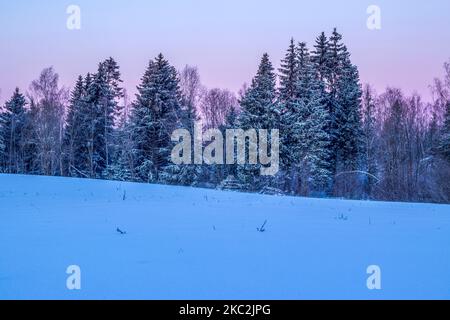 Alba invernale nella campagna lettone. Colorato scenario all'aperto. Foto Stock