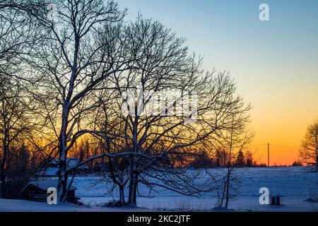 Inverno mattina nella campagna lettone nel mese di dicembre Foto Stock