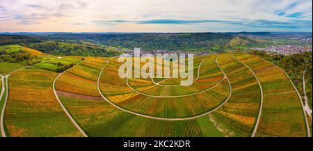 Veduta aerea del paesaggio viticolo vicino a Weinstadt in autunno Foto Stock