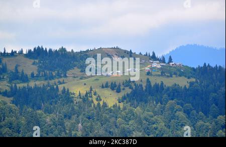 Badara Plateau, situato nella città di Rize in Turchia, è uno dei luoghi della regione che ha perso la sua naturalezza. Foto Stock