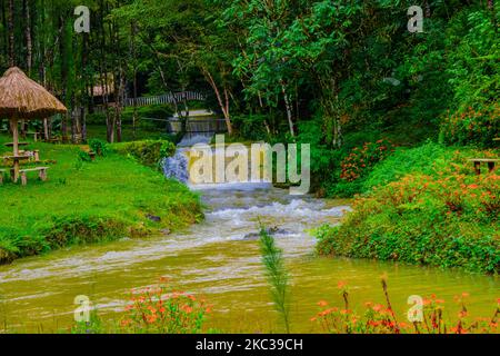 fiume nel mezzo della foresta Foto Stock