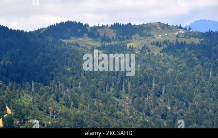 Badara Plateau, situato nella città di Rize in Turchia, è uno dei luoghi della regione che ha perso la sua naturalezza. Foto Stock