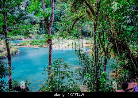 ríos azul en medio de bosque Foto Stock