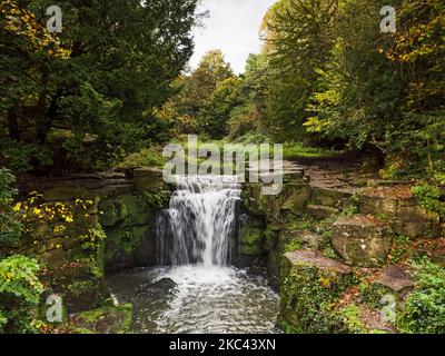 Colori autunnali a Jesmond Dene, Newcastle upon tyne, Regno Unito Foto Stock