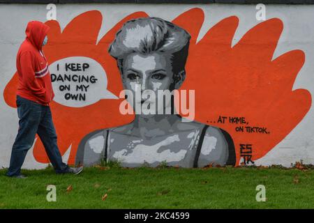 Un murale di Robin Miriam Carlsson, conosciuto come Robyn, dall'artista irlandese Emmalene Blake, situato a Dublino Sud. Questo è il lavoro più recente, una parte della serie "Stay at Home", che incoraggia le persone a mantenere l'equilibrio sociale. Lunedì 16 novembre 2020 a Dublino, Irlanda. (Foto di Artur Widak/NurPhoto) Foto Stock