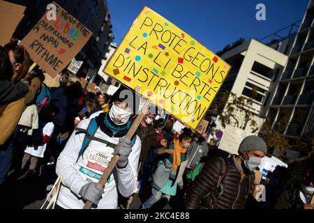 Un manifestante ha un cartello con la scritta "Proteggiamo la libertà dell'istruzione”. Genitori e bambini protestano contro il disegno di legge presentato da J.-M. Blanquer, ministro dell'Istruzione, la cosiddetta "legge per la stenghening dei principi repubblicani”. Questo disegno di legge intende vietare la scuola a casa o l'istruzione di famiglia tranne per i bambini gravemente malati. Il diritto di istruire in famiglia è un diritto in Francia fin dal XIX secolo. Quasi il 1% degli alunni viene istruito a casa. Questo disegno di legge prevede anche di rendere obbligatoria la scuola per 3yo bambini. Il governo francese afferma che il disegno di legge è necessario per evitare il Th Foto Stock