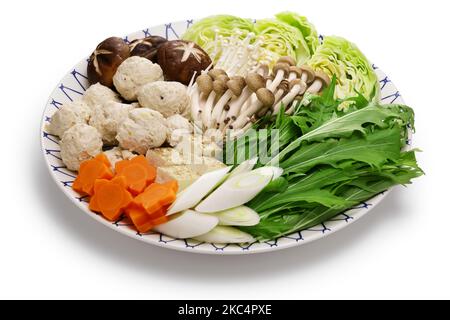 Mizutaki, hot pot di pollo giapponese; ingredienti per hot pot Foto Stock