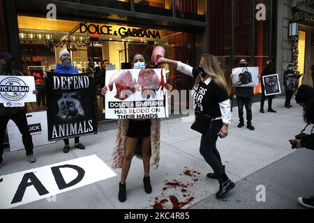 I dimostranti si opposero alla crudeltà degli animali con segni che cantavano slogan sulla Fifth Avenue il 27 novembre 2020 a New York City USA. Tradizionalmente le dimostrazioni annuali si sono svolte il Black Friday, il giorno di shopping più trafficato dell'anno. Come risultato di Fur Free Fridays, le vendite di pellicce sono crollato negli anni '80 e '90, ma recenti tendenze moda hanno causato un aumento delle vendite. (Foto di John Lamparski/NurPhoto) Foto Stock