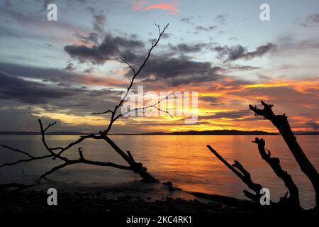 Silhouette di un ramo d'albero che è inondato sulla spiaggia sullo sfondo del cielo serale e di una piccola isola di Halmahera, Indonesia. Foto Stock