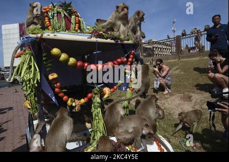 Le scimmie mangiano una varietà di frutta e verdura servita durante il Festival delle scimmie al tempio Phra Prang Sam Yod nella città di Loppuri, a nord di Bangkok, Thailandia, 29 novembre 2020. (Foto di Anusak Laowilas/NurPhoto) Foto Stock