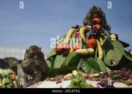 Le scimmie mangiano una varietà di frutta e verdura servita durante il Festival delle scimmie al tempio Phra Prang Sam Yod nella città di Loppuri, a nord di Bangkok, Thailandia, 29 novembre 2020. (Foto di Anusak Laowilas/NurPhoto) Foto Stock