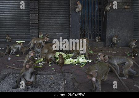 Le scimmie mangiano una varietà di frutta e verdura servita durante il Festival delle scimmie al tempio Phra Prang Sam Yod nella città di Loppuri, a nord di Bangkok, Thailandia, 29 novembre 2020. (Foto di Anusak Laowilas/NurPhoto) Foto Stock