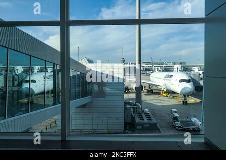 Lufthansa Airbus A350 come visto la mattina presto all'alba, all'alba e durante il giorno parcheggiato alle porte dell'aeroporto internazionale di Monaco EDDM MUC. Il moderno e avanzato velivolo da A359 o A350-900 passeggeri a scocca larga è dotato della targa D-AIXO, il nome Ulm, ed è alimentato da motori a reazione 2x RR. Deutsche Lufthansa AG DLH o LH è la più grande compagnia aerea in Germania, con base hub a Francoforte, Monaco e Berlino, ex vettore di bandiera tedesco e membro fondatore del gruppo aereo della Star Alliance. Il traffico mondiale di passeggeri è diminuito durante l'era di pandemia del coronavirus covid-19 con il Foto Stock