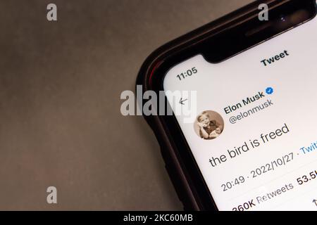 Vancouver, CANADA - Nov 4 2022 : Tweet "l'uccello è liberato" da Elon Musk (elonmusk) sul sito web di Twitter su un iPhone. Concetto di acquisizione di Elon Musk Twitter Foto Stock