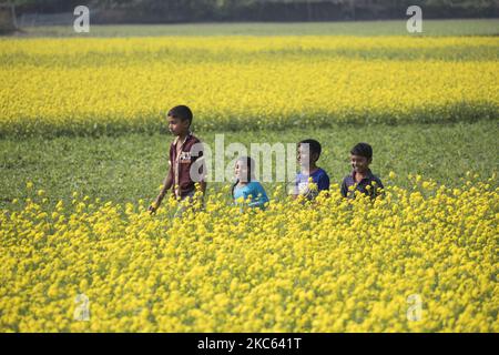 I bambini camminano attraverso il campo di senape a Manikganj vicino a Dhaka, Bangladesh il 18 dicembre 2020. (Foto di Ahmed Salahuddin/NurPhoto) Foto Stock