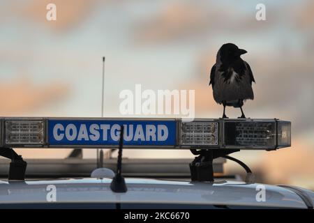 Veicolo della Guardia Costiera irlandese parcheggiato a Howth Harbor. Dopo la Brexit, il Regno Unito non farà più parte della Politica comune della pesca (PCP) dell’UE. Diventare uno Stato costiero indipendente sarà pienamente responsabile della gestione della pesca nella zona economica esclusiva del Regno Unito di 200 miglia (compresa la fissazione del totale ammissibile di catture, la distribuzione di contingenti e la determinazione dell’accesso alla pesca). Tuttavia, l'accesso delle navi dell'UE alle acque del Regno Unito e viceversa rientra nei negoziati in corso e in un futuro accordo con l'UE. Secondo Patrick Murphy, amministratore delegato dei produttori irlandesi di pesce del sud e dell'ovest Foto Stock