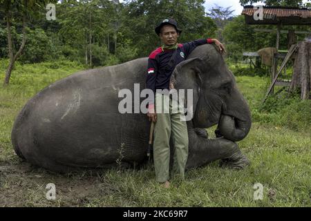 I mahouts si prendono cura del loro elefante di Sumatran dopo una lunga giornata di pattuglia al Parco Nazionale di Bukit Barisan Selatan a Lampung il 12 dicembre 2020 (Foto di Mas Agung Wilis/NurPhoto) Foto Stock