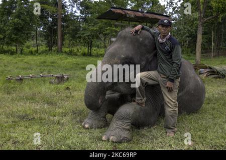 I mahouts si prendono cura del loro elefante di Sumatran dopo una lunga giornata di pattuglia al Parco Nazionale di Bukit Barisan Selatan a Lampung il 12 dicembre 2020 (Foto di Mas Agung Wilis/NurPhoto) Foto Stock