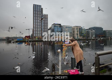 Una donna ha visto nutrire gli uccelli nella zona Docklands di Dublino. Con il crescente numero di casi COVID e una nuova variante COVID pericolosamente contagiosa che imperversa nel Regno Unito, il Gabinetto irlandese ha deciso di introdurre nuove restrizioni prima di Natale. Dopo tre settimane di normalità, tutti i servizi di ospitalità, inclusi pub e ristoranti, sono destinati a chiudere nuovamente la vigilia di Natale. Lunedì 21 dicembre 2020 a Dublino, Irlanda. (Foto di Artur Widak/NurPhoto) Foto Stock