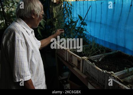 Harry dalle (73), un sopravvissuto di Covid-19, fa le sue attività a casa durante il secondo giorno di Natale a Bekasi, provincia di Giava Occidentale, il 26 dicembre 2020. Come sopravvissuto, Harry dalle sentì davvero come il Covid-19 che lo attaccò lo rese incapace di prendersi cura del fratello minore, Marthen dalle, che stava combattendo il cancro spinale. Il periodo di isolamento di 15 giorni in ospedale ha lasciato il fratello minore, Marthen, che è l'unica famiglia con cui vive, trascurato fino a quando la sua condizione non ha continuato a deteriorarsi. E quando Harry fu provato negativo per Covid-19, e tornò a casa, trovò le condizioni del fratello minore Foto Stock