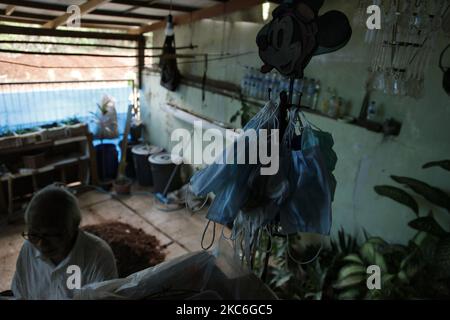 Harry dalle (73), un sopravvissuto di Covid-19, fa le sue attività a casa durante il secondo giorno di Natale a Bekasi, provincia di Giava Occidentale, il 26 dicembre 2020. Come sopravvissuto, Harry dalle sentì davvero come il Covid-19 che lo attaccò lo rese incapace di prendersi cura del fratello minore, Marthen dalle, che stava combattendo il cancro spinale. Il periodo di isolamento di 15 giorni in ospedale ha lasciato il fratello minore, Marthen, che è l'unica famiglia con cui vive, trascurato fino a quando la sua condizione non ha continuato a deteriorarsi. E quando Harry fu provato negativo per Covid-19, e tornò a casa, trovò le condizioni del fratello minore Foto Stock
