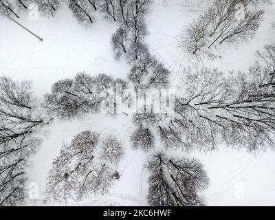 Milano vista dal drone, completamente coperta di neve. Tetti, strade e parchi completamente imbiancati. Milano, 27 dicembre 2020 (Foto di Fabrizio di Nucci/NurPhoto) Foto Stock