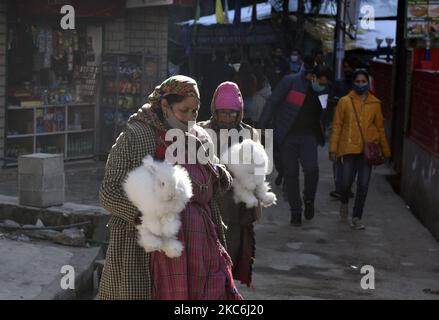 Le donne locali di Himachali trasportano conigli vicino al tempiale di Hidimba, Manali, Himachali Pradesh, India, 26 dicembre, 2020. (Foto di Indranil Aditya/NurPhoto) Foto Stock
