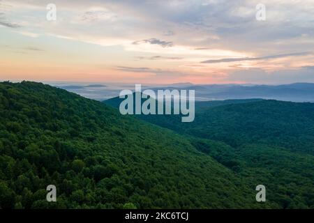 Vista aerea della pineta verde con abeti scuri che coprono le colline di montagna al tramonto. Paesaggio boschivo del nord dall'alto Foto Stock