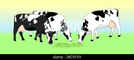 Due mucche in contanti pascolano in un campo, mangiando erba. Milkmaid nel prato. Animali che si nutrono di prati biologici. Isolato vettore piatto illustrazione di un dai Illustrazione Vettoriale